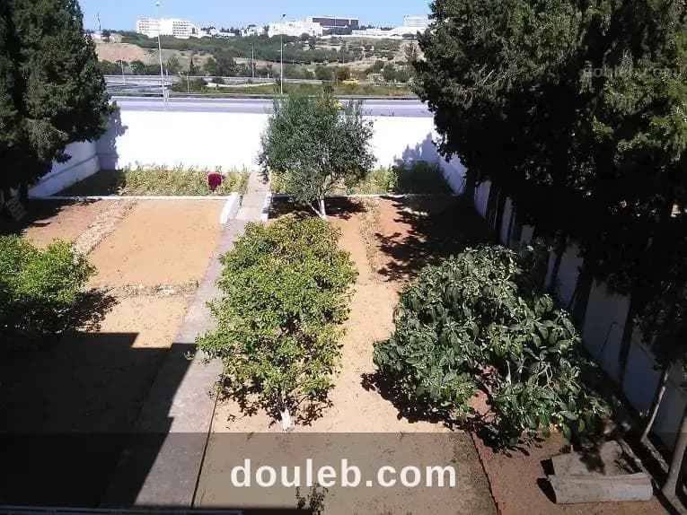 Grande villa residence casablanca - Miniature 5