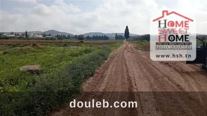 Terrain villa rimel à borj touil - Photo 1
