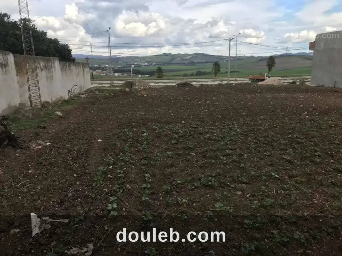 Terrain opportunité à béja - Photo 1