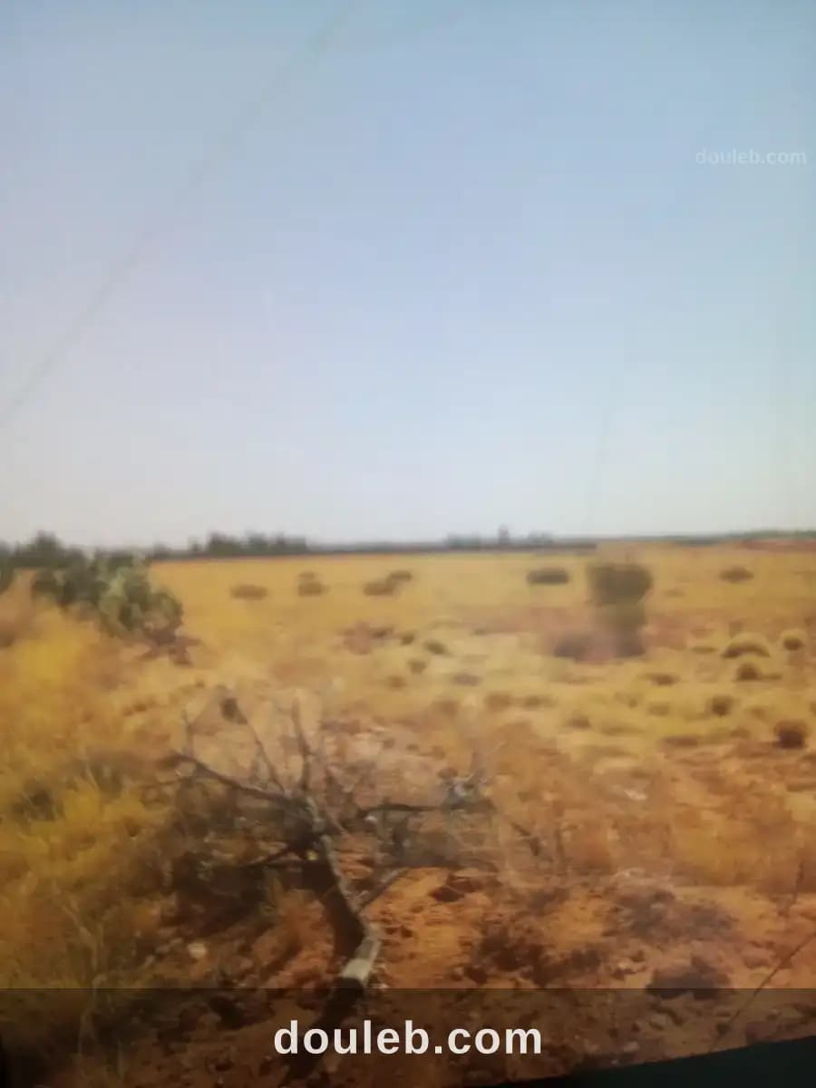 Terrain agricole - Photo 1