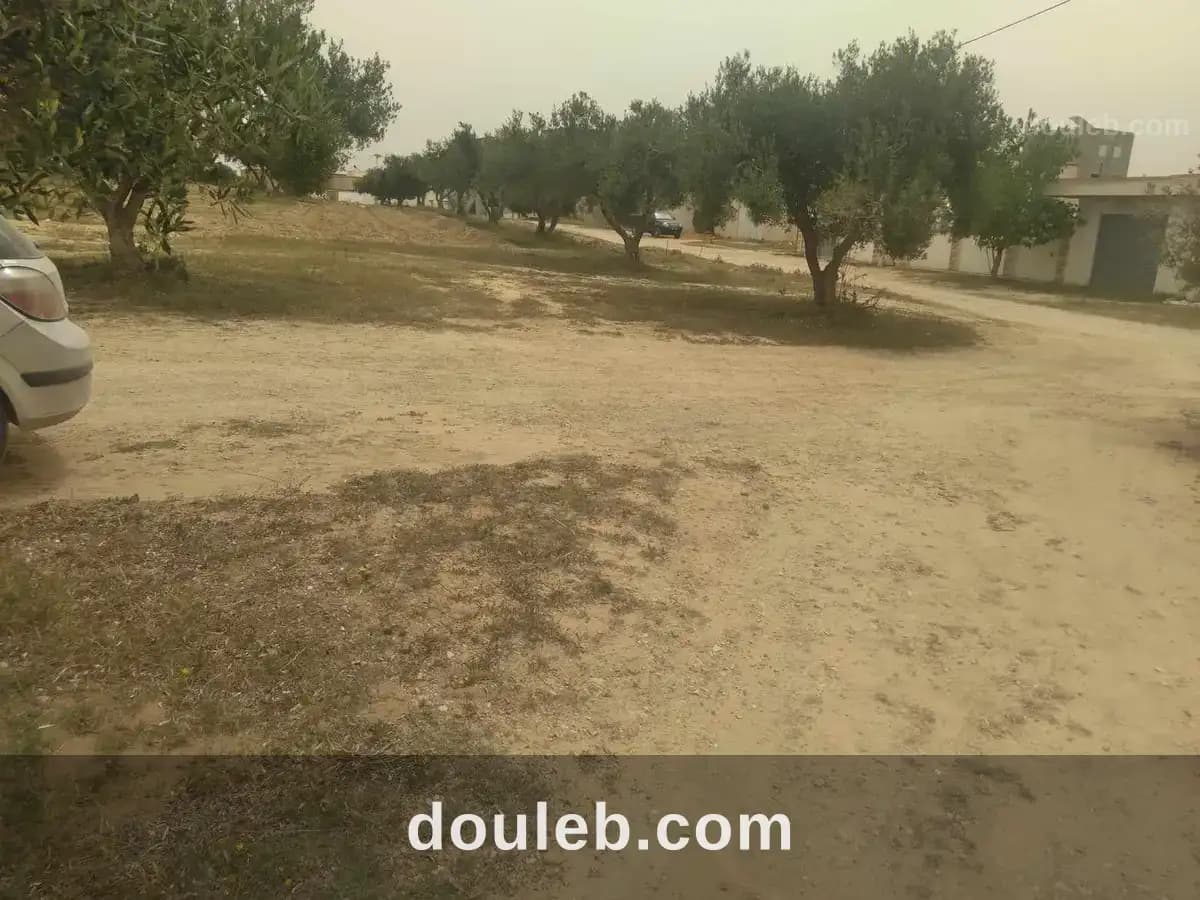 Lot de terrain 230 m2 à soliman - Photo 1