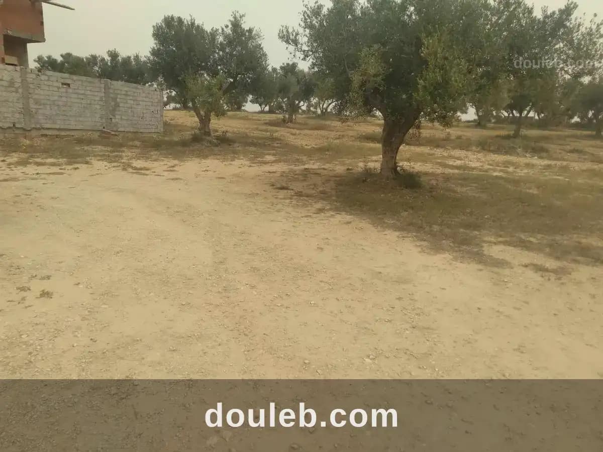 Lot de terrain 230 m2 à soliman - Miniature 2
