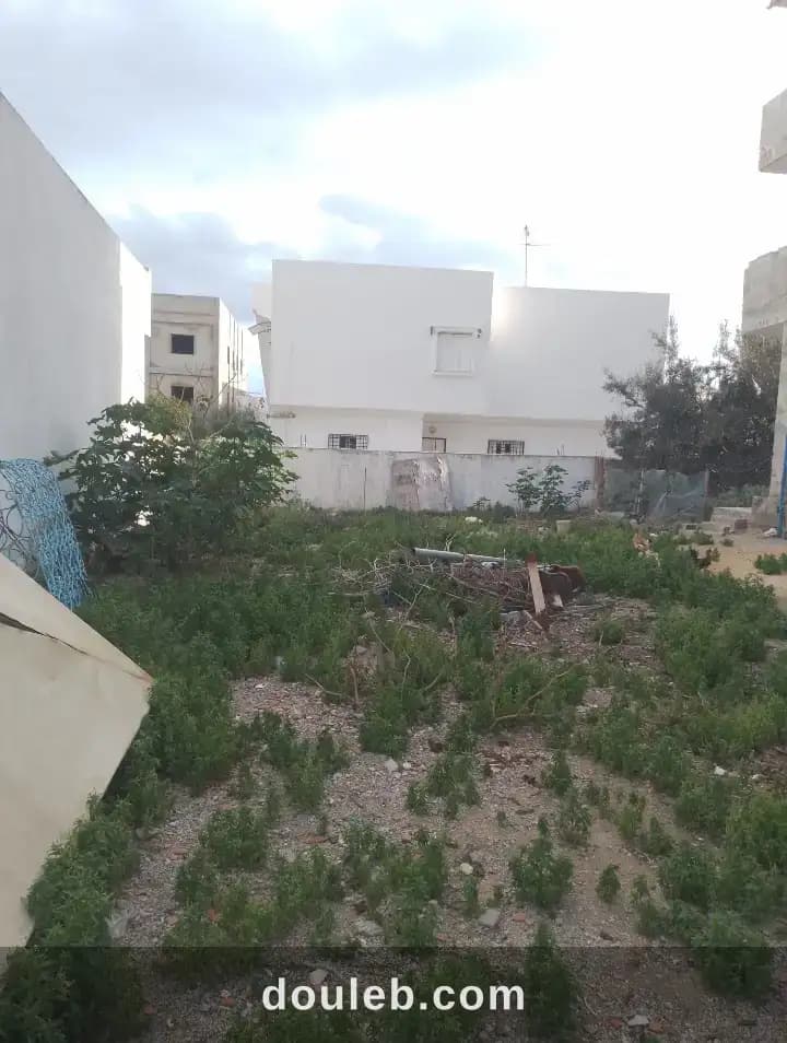 Terrain viabilisé 295m hammamet mrezga - Miniature 2