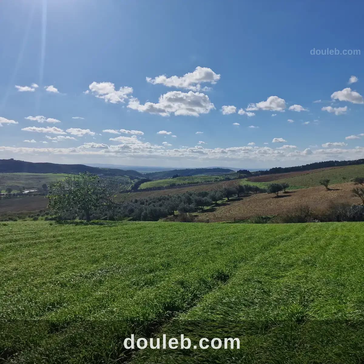 1 hectares 500 m2 avec permis de construire - Photo 1