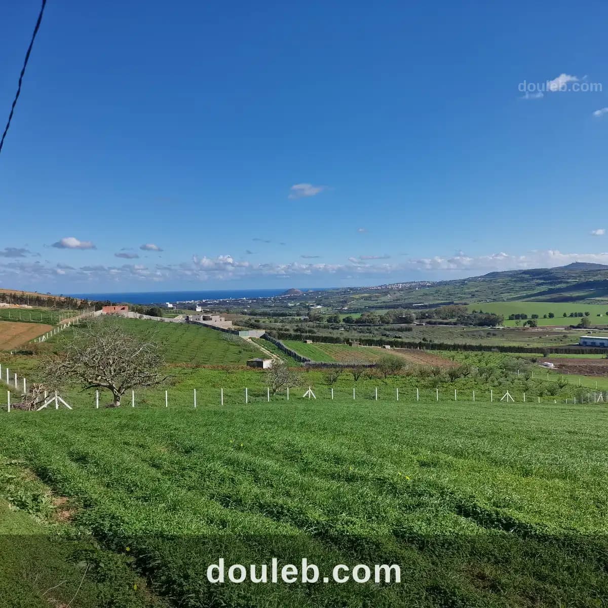 Terrain agricole 2650 m2 avec vue mer - Photo 1