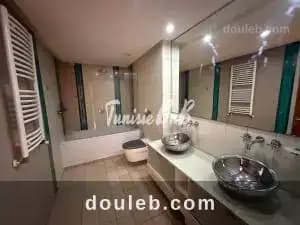 Duplex s3 ref914a - Miniature 2