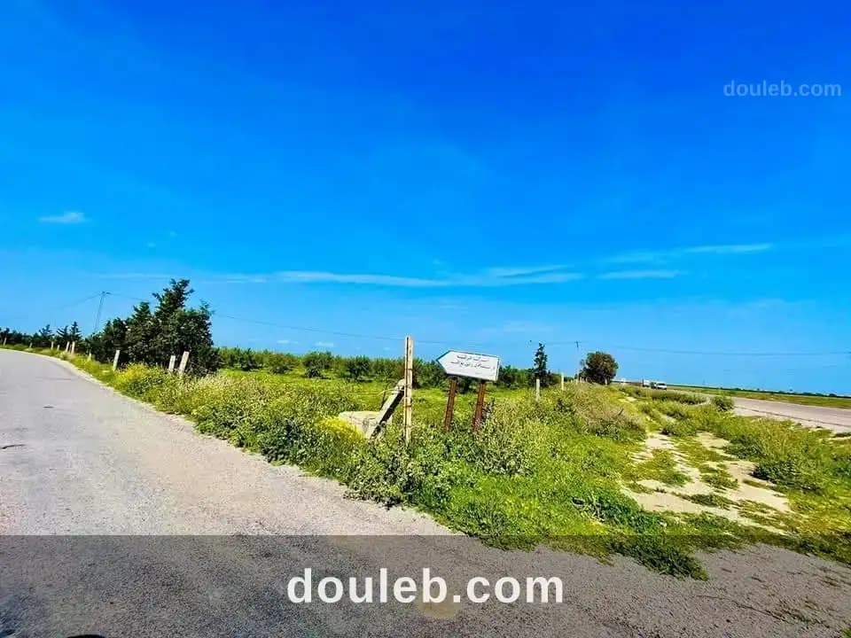 Terrain situé a bouficha paiement par facilté - Photo 1