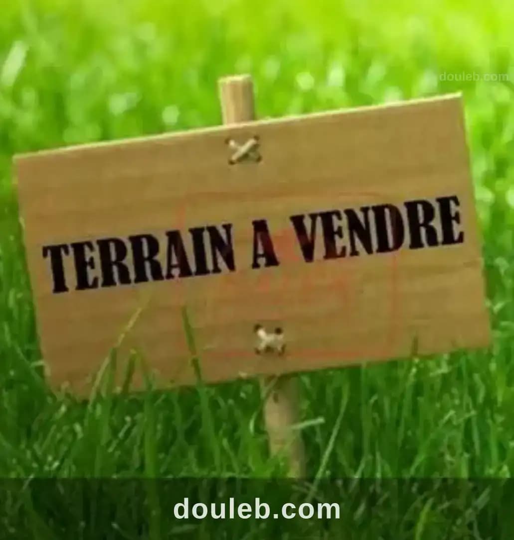 Un terrain unique - Photo 1