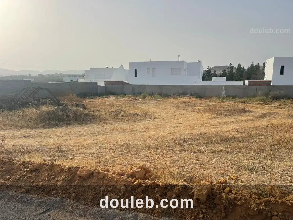 Un lot de terrain de 3200 m2 a monchar - Photo 1