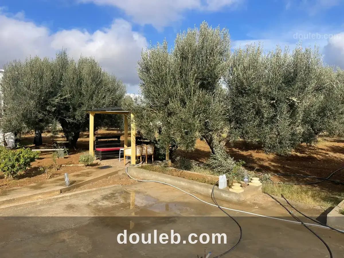 A hammamet sud un lot de terrain de 2450 m2 - Miniature 3