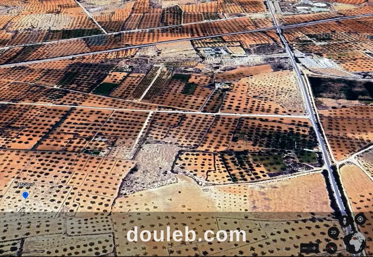 Terrains 12867 et 4353 sidi bouali à dar zitouna - Photo 1
