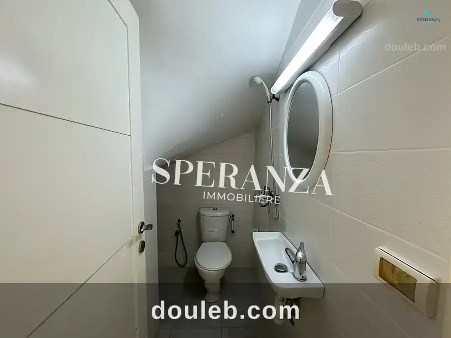 Duplex luzei - Miniature 3