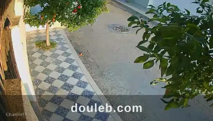 Maison à deux façades - Photo 1