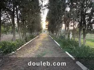Senia de 28 000 m2 - Miniature 3