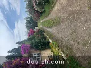 Senia de 28 000 m2 - Miniature 4