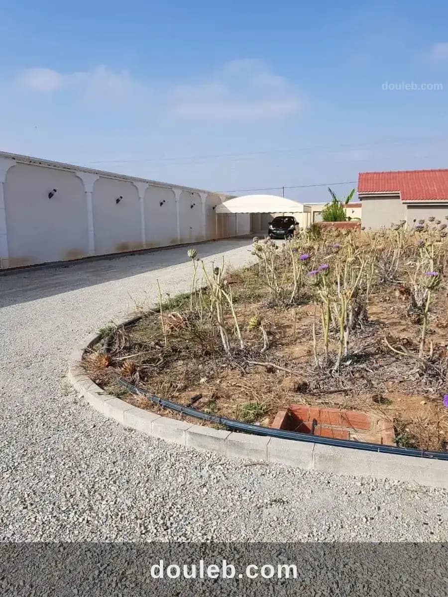 Belle ferme à chorfech pour projet écotouristiques - Miniature 4
