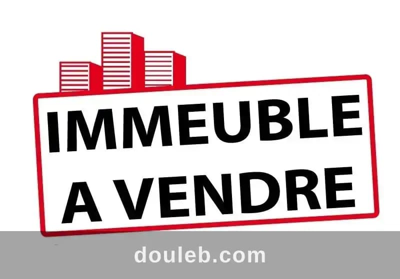 Un immeuble 500 m exceptionnel situé à bohsina - Photo 1