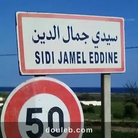 Terrain à sidi jameleddine - Miniature 2