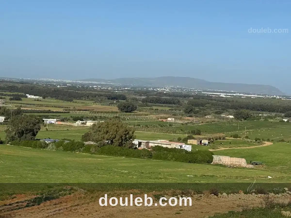Préparez votre havre de paix à azmour à Nabeul