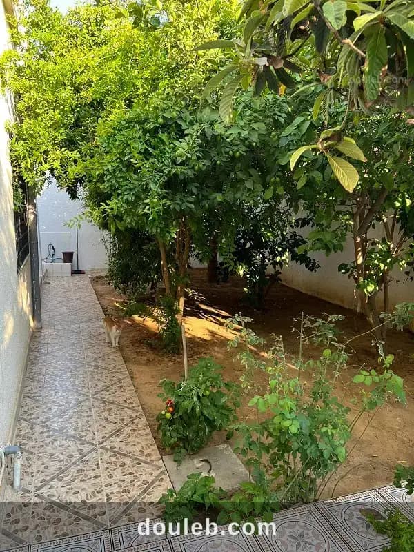 Villa à naasen - Miniature 3