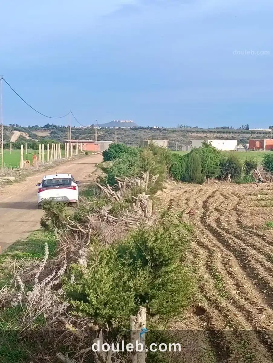 Terrain de presstige à kelibia à Nabeul
