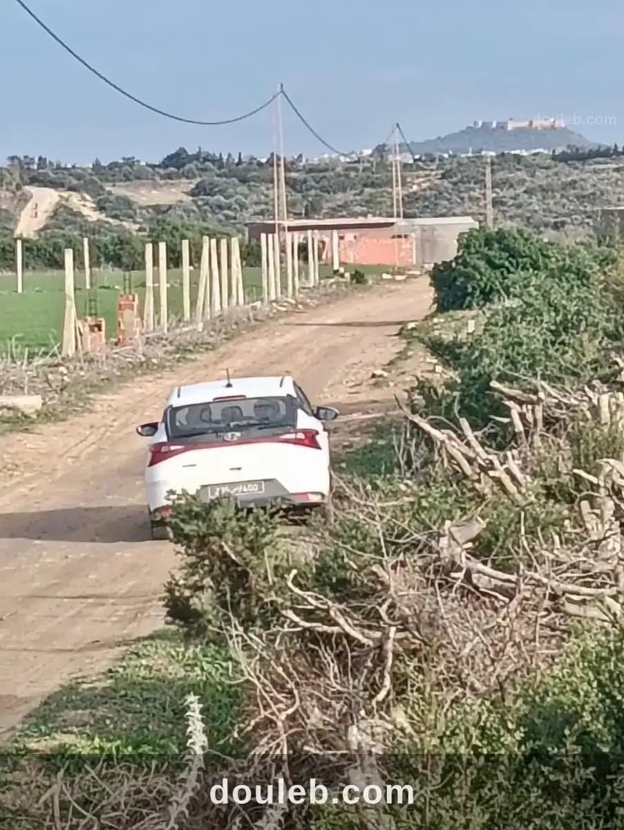 Terrain de presstige à kelibia - Miniature 2