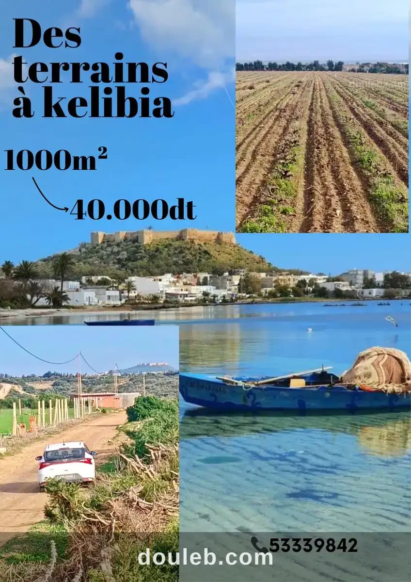 Kelibia des terrains disponible à Nabeul