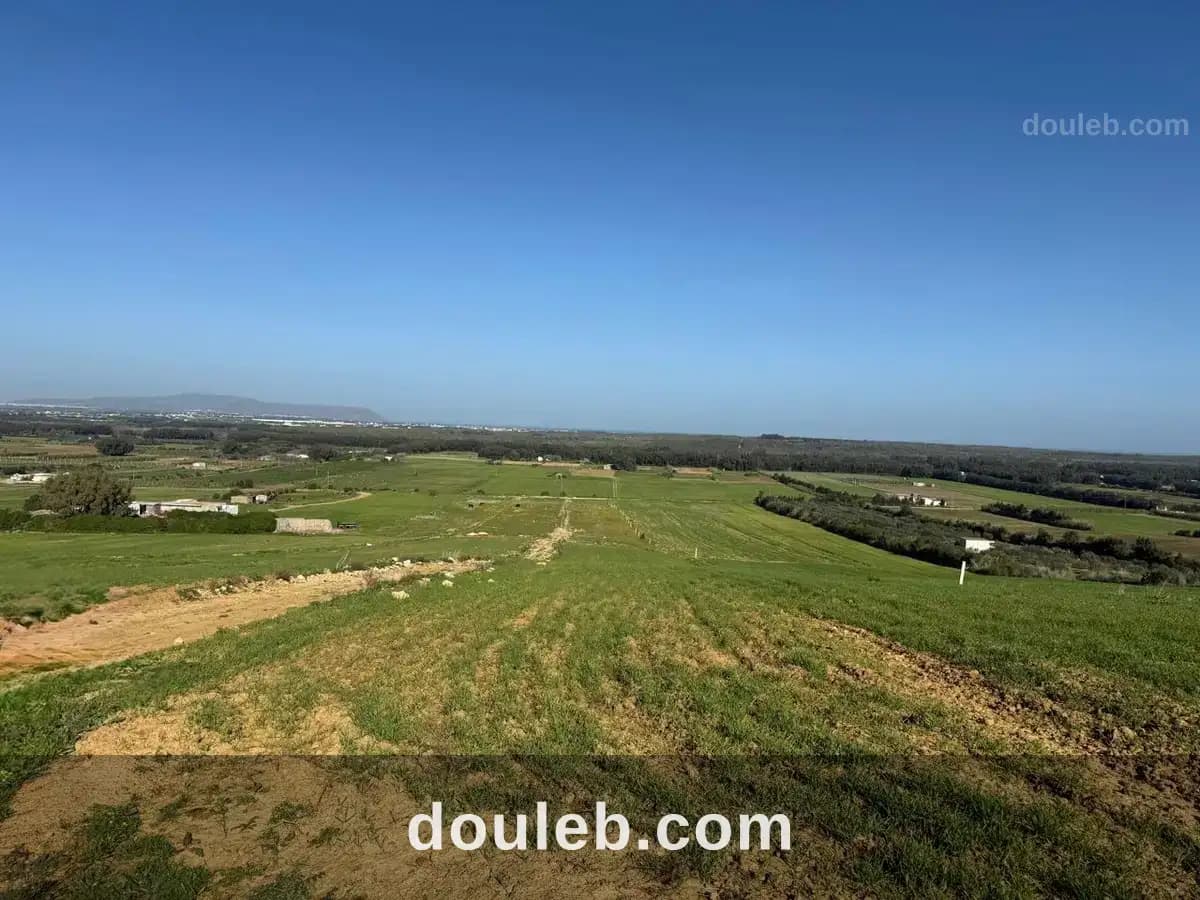 Beau terrain résidentiel à azmour à Nabeul