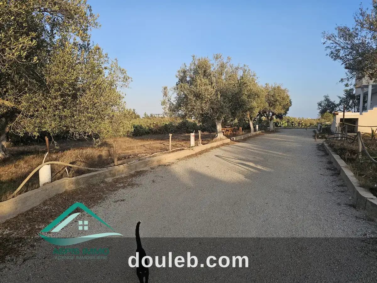 Vt929 terrain 430 m2 à kelibia à Nabeul