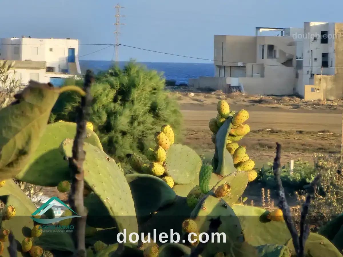 Vt929 terrain 430 m2 à kelibia - Miniature 5