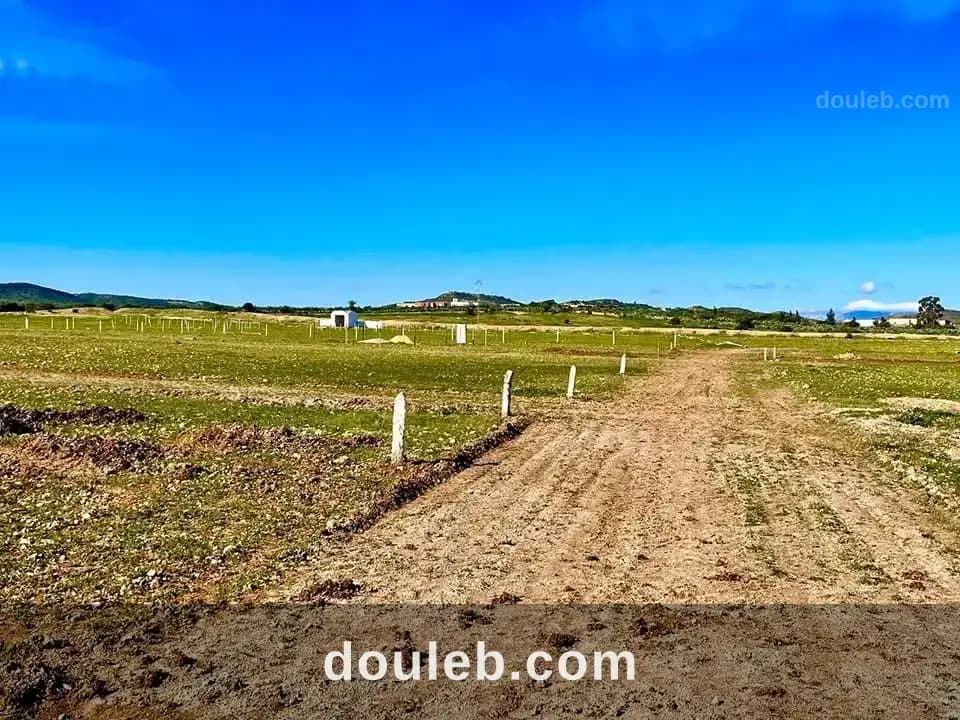Un secteur calme - Miniature 3