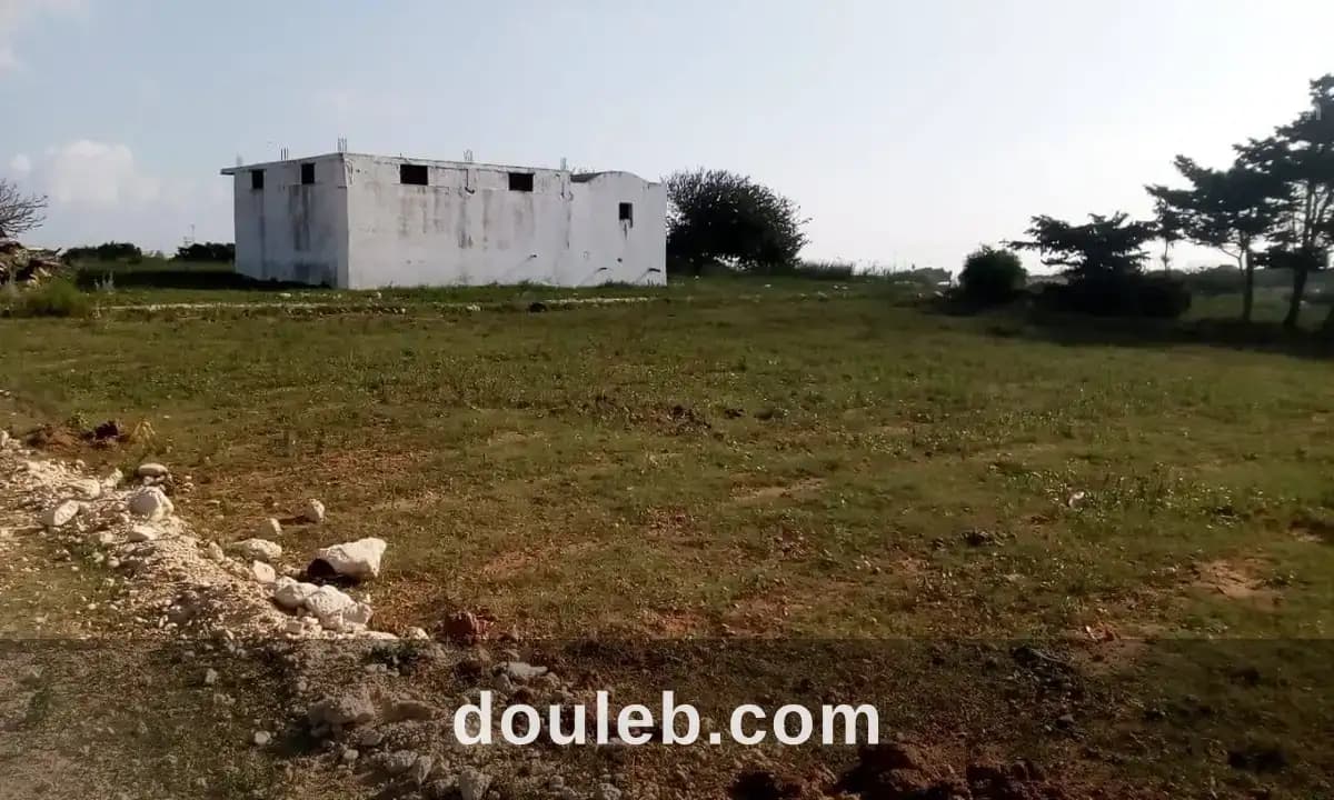 Hawaria facilité de paiement - Miniature 5