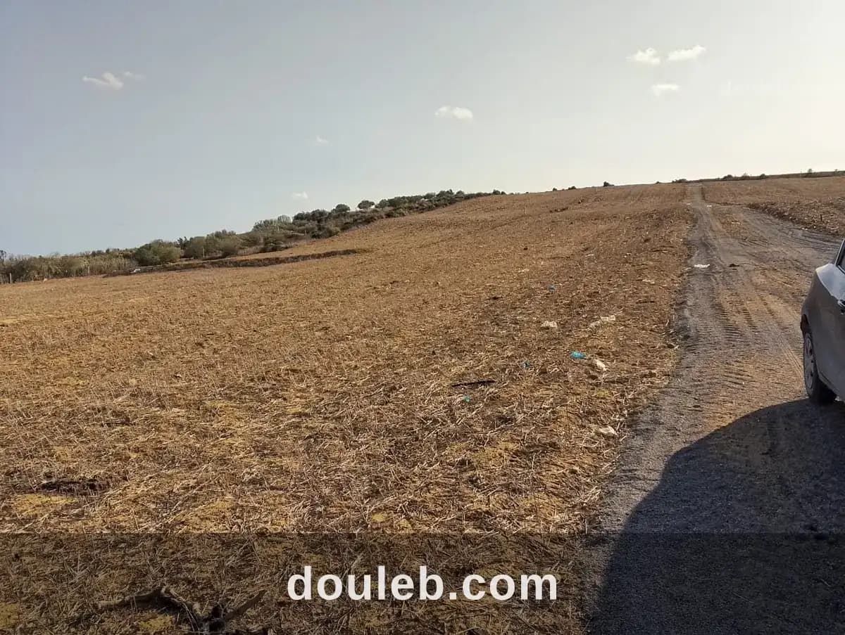 Entre campagne et mer à Nabeul