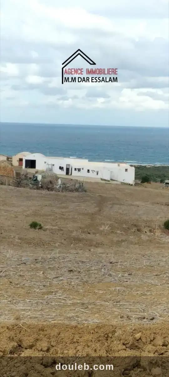 Terrain près d'el haouaria à Nabeul