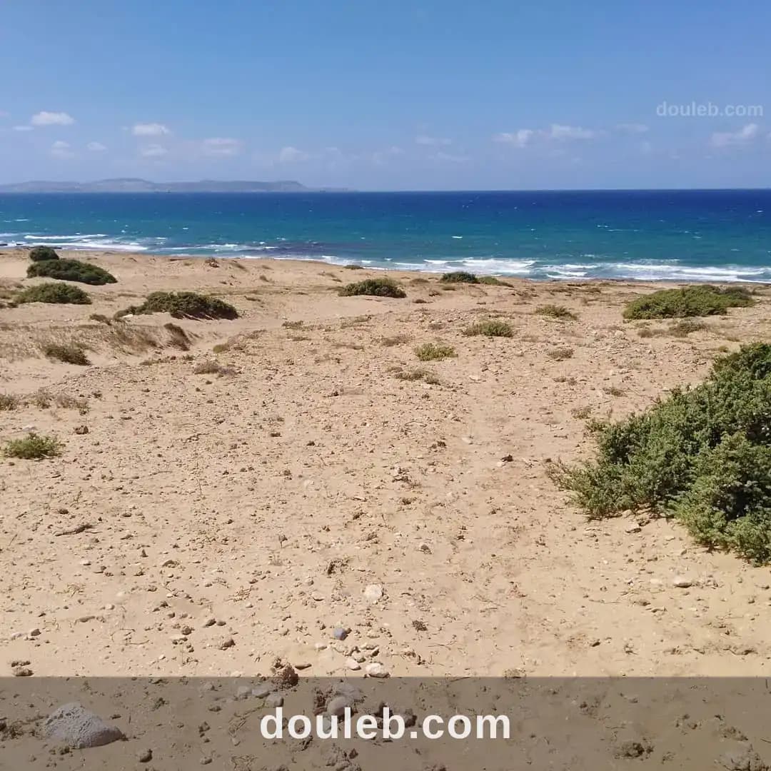 A partir de1000 m vue mer - Miniature 3