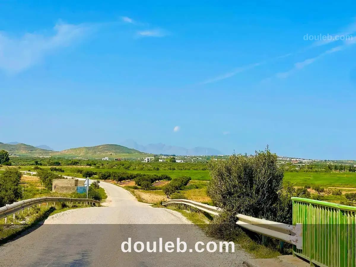 Offre de terrain a bouficha à Sousse
