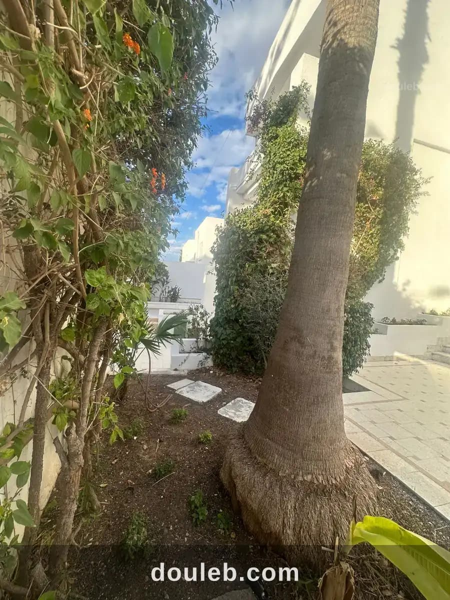 Villa neuve lux 3niveaux avec jardin à Tunis