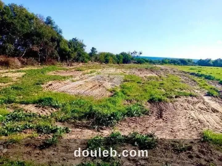 Commercial terrain hawaria à Nabeul