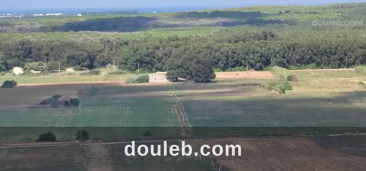 Occasion a ne pas rater à Nabeul