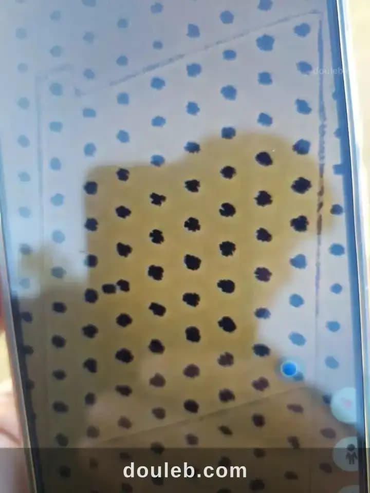 81 asl zitoun ala24 à Sfax