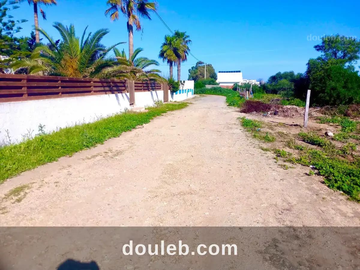 Terrain a kerkoiane 250 m2 a 87000 à Nabeul