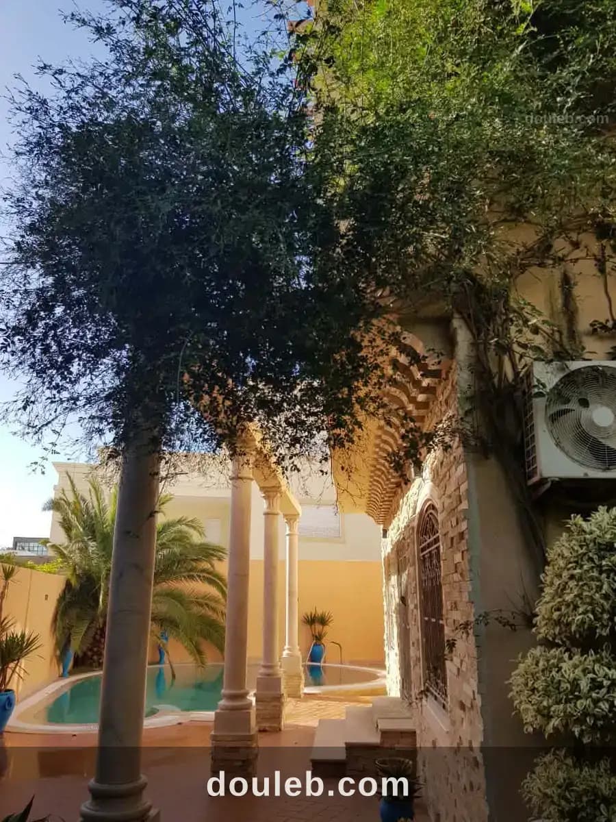 Titre bleu individuel 515541 à Tunis