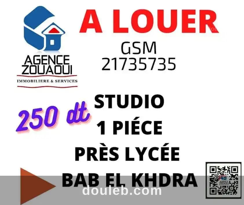 Studio pour fonctionnaires serieux 250 dt à Tunis