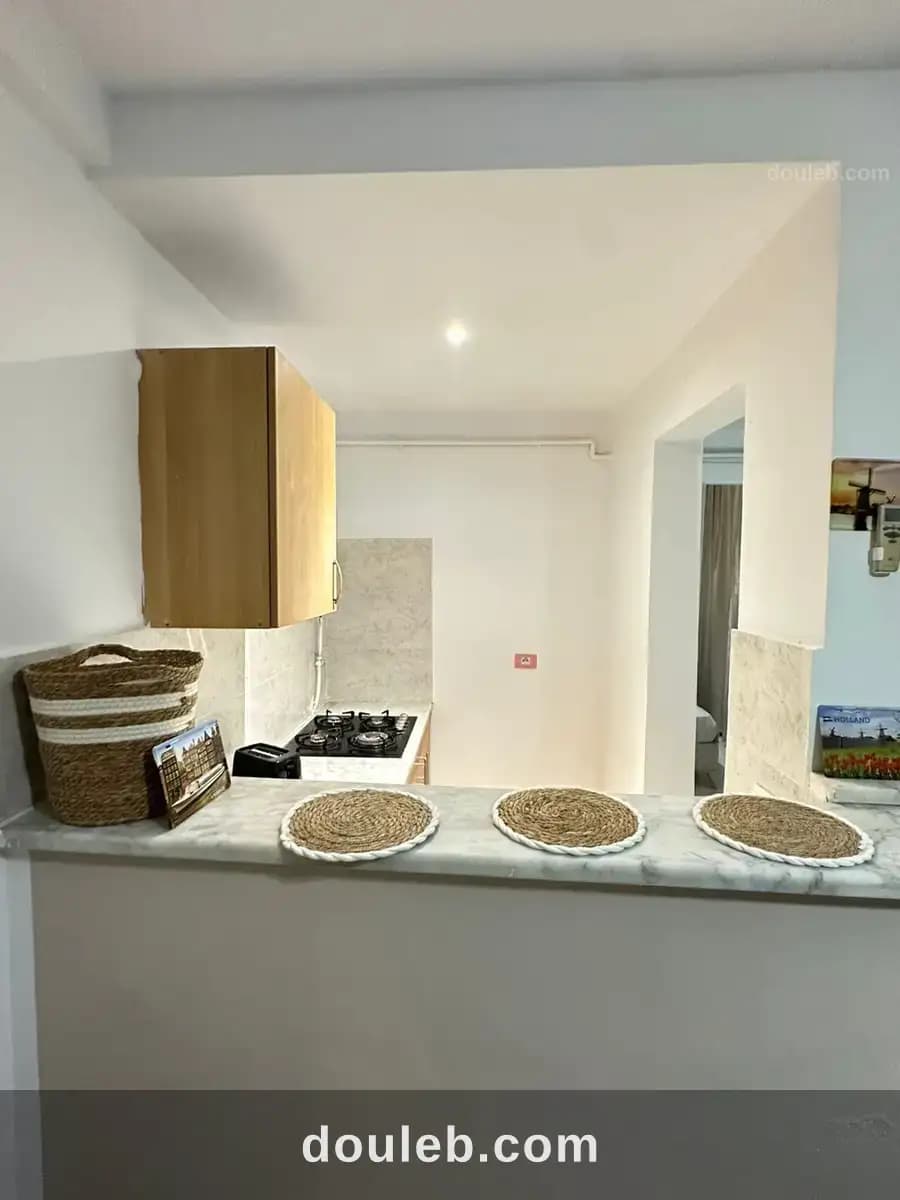 S1 meuble a jardin l'aouina - Miniature 2