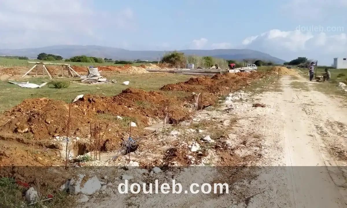 El haouaria nabeul - Miniature 2