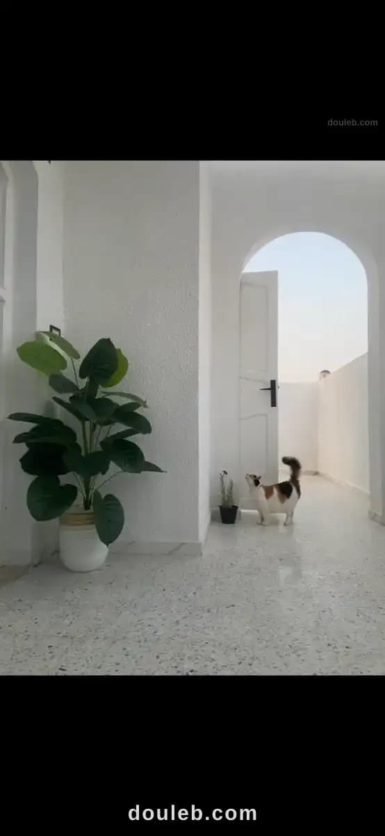 Villa à sousse - Miniature 5
