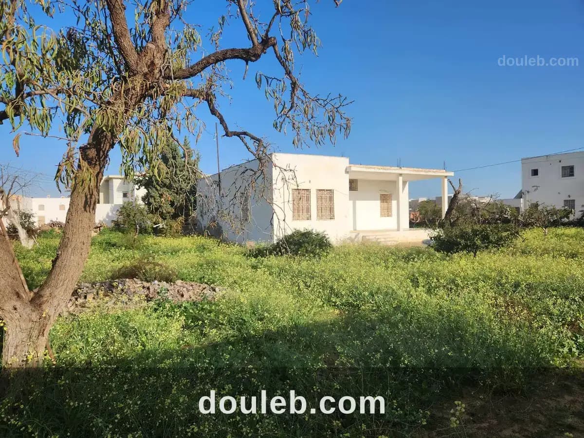 Sfax menzel chaker vnt maison 1135m2 - Miniature 2