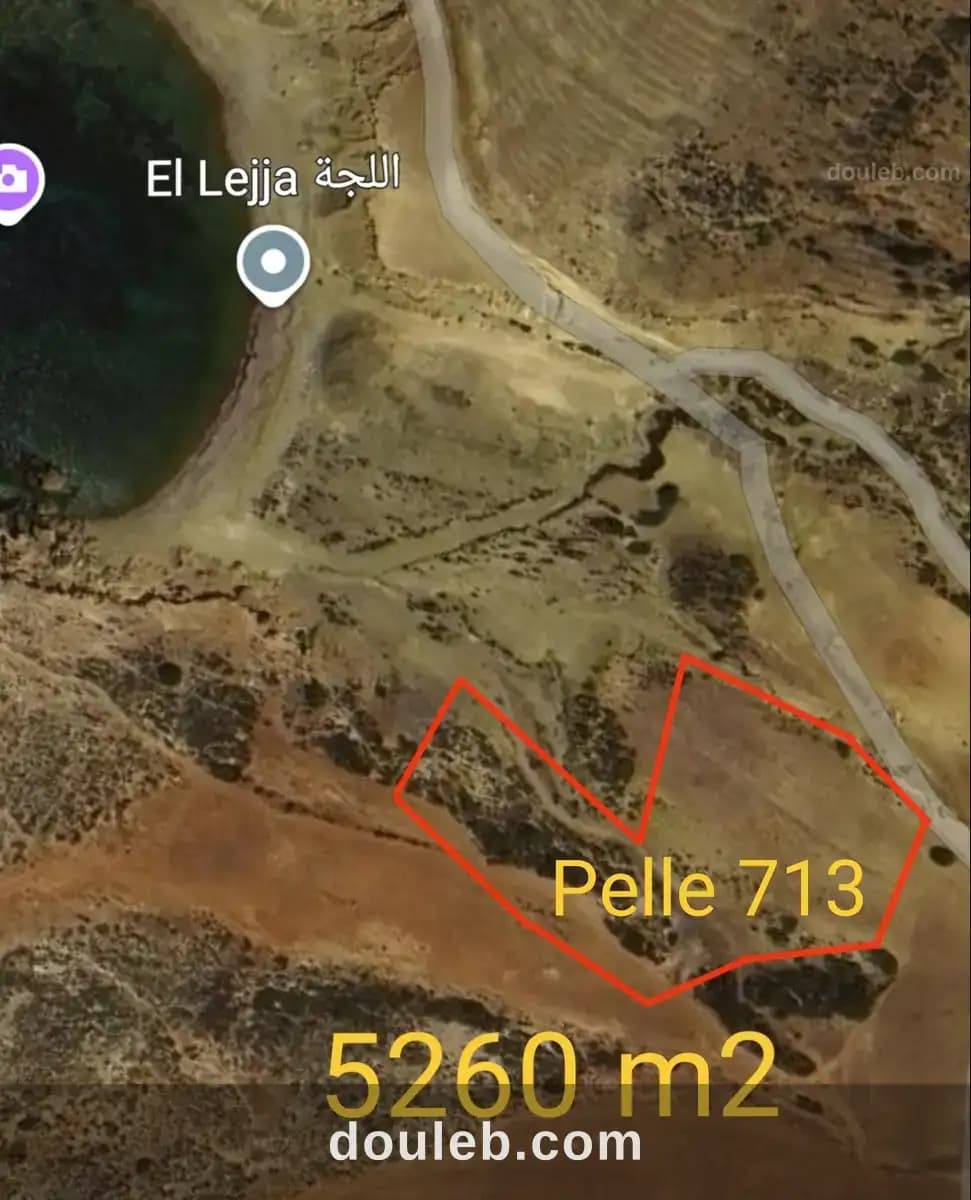 Pour maison d'hôte à Nabeul