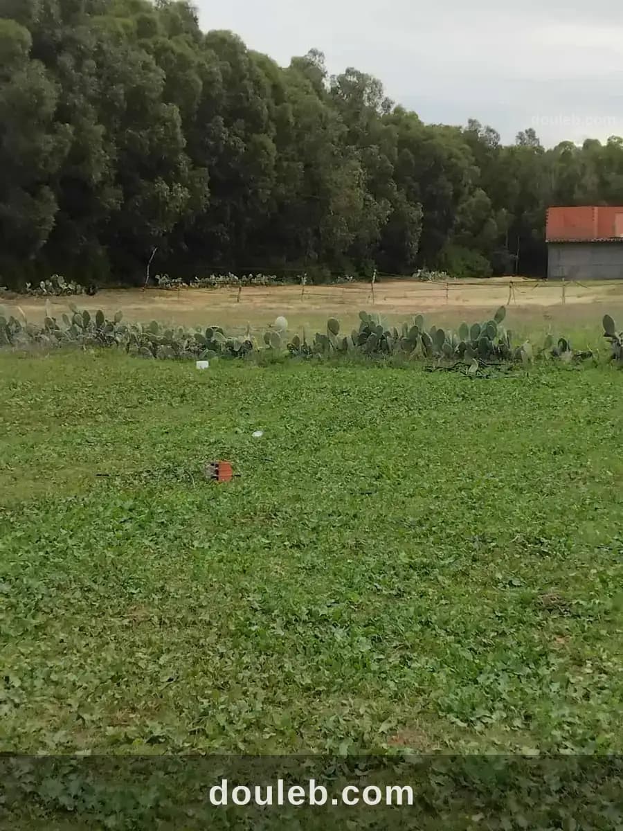 5000m2 situé azmour à Nabeul