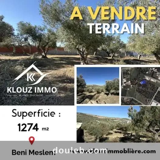 Terrain beni meslem bizerte à Bizerte